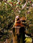 Bild Nr. 22089